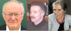 2019 elected RSAI Fellows